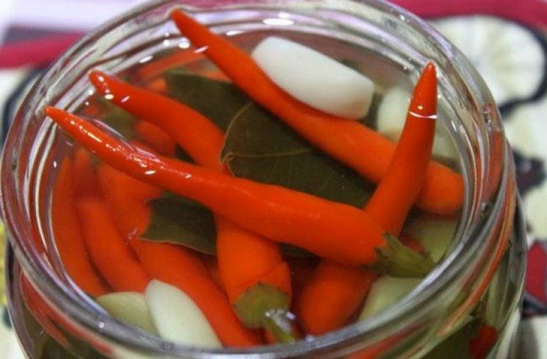Маринованный острый перец: 15 простых рецептов на зиму в домашних условиях