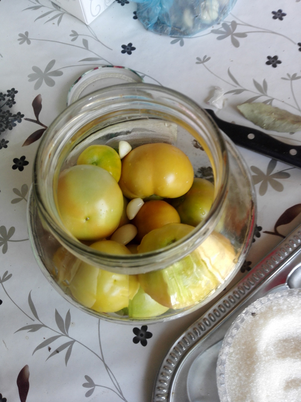 malosolnye-zelenye-pomidory-v-banke (3)