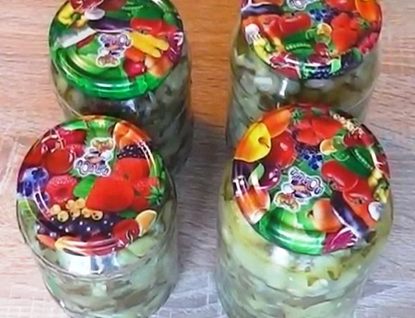 salat-iz-ogurcov-korolevskij (2)