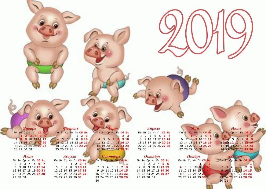 Календарь на 2019 год Желтой Земляной Свиньи